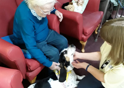 PAT dog Buffy enjoying strokes from residents at Lulworth House Residential Care Home