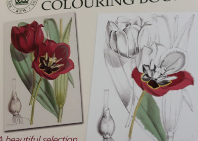 The front cover of a Kew Gardens Colouring Book
