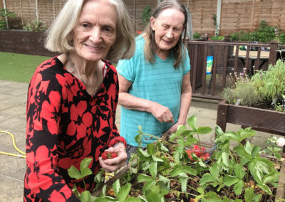 Two Lulworth House residents collecting strawberries from their garden