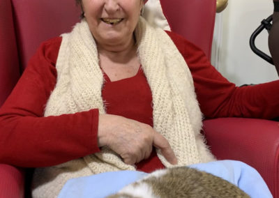 Ladies at Lulworth House Residential Care Home enjoying cuddles with a rabbit (1 of 6)