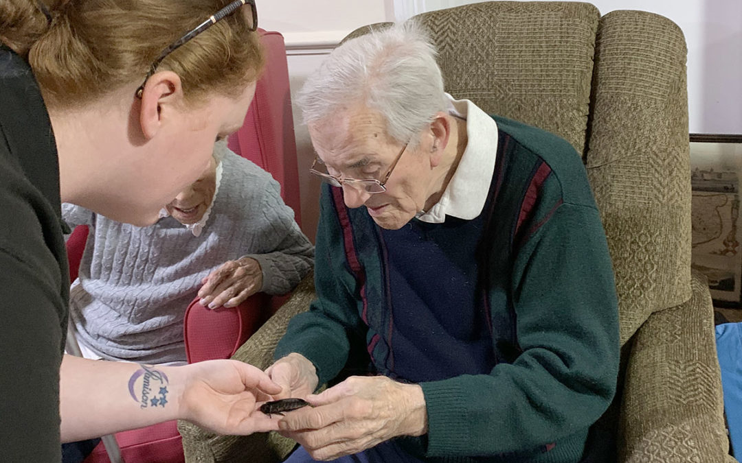 Lulworth House Residential Care Home residents enjoy mini zoo