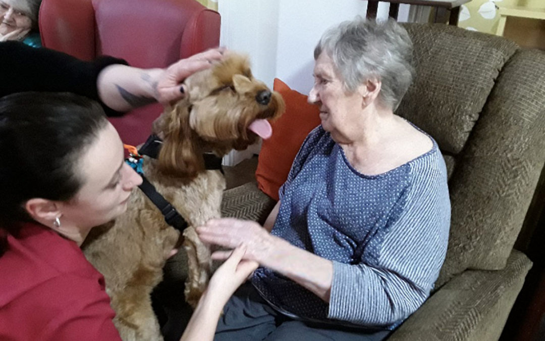 A lot of love at Lulworth House Residential Care Home