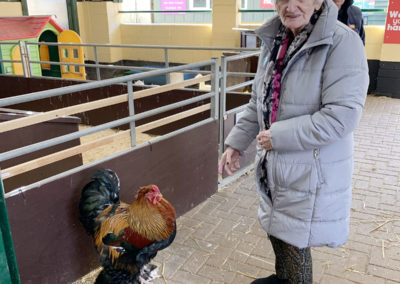 Lulworth House Residential Care Home residents at the Rare Breeds Centre in Ashford 2