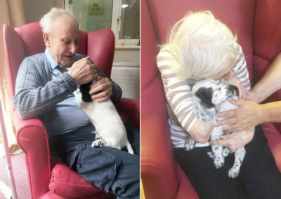 Lulworth House Residential Care Home cuddling a puppy