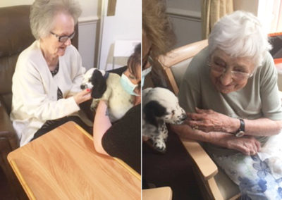 Lulworth House Residential Care Home petting a puppy