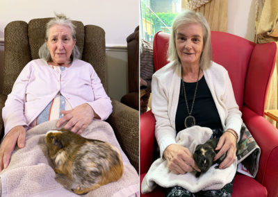 Lulworth House Residential Care Home residents enjoying a Guinea pig pet on their laps