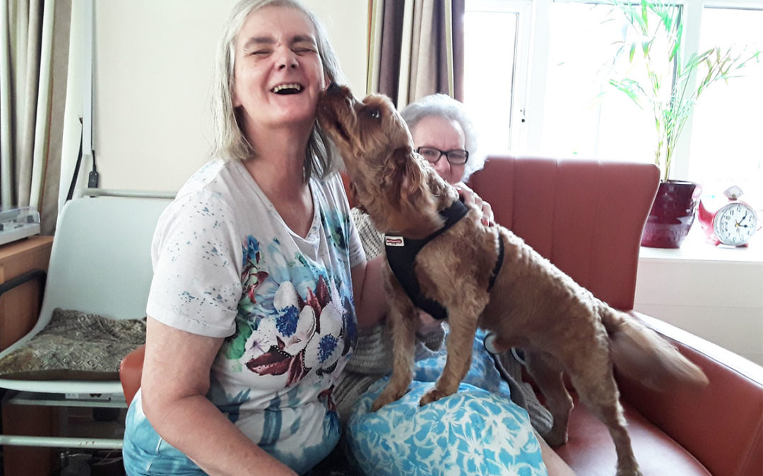 Lulworth House Residential Care Home residents welcome Ralph