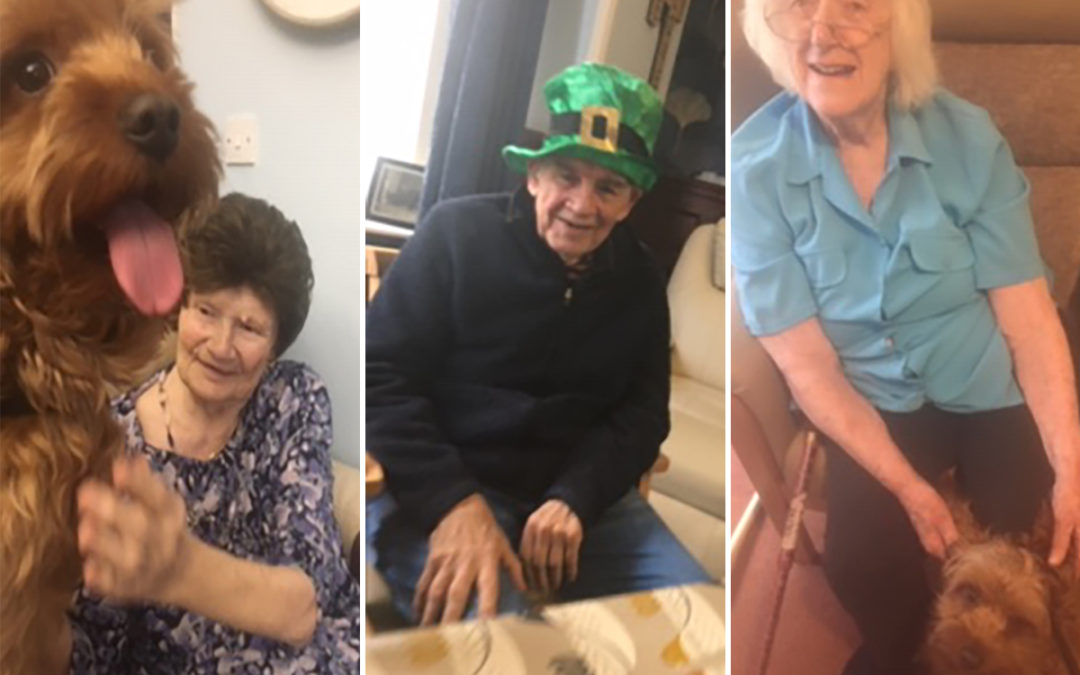 A visit from Ralph and St Patricks Day fun at Lulworth House Residential Care Home