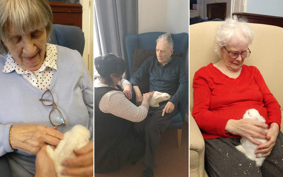 Welcoming Bonny and Clyde at Lulworth House Residential Care Home