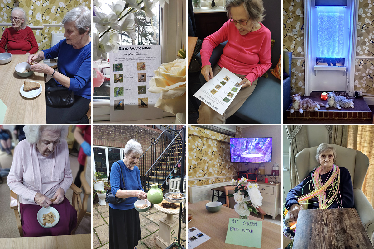 Lulworth House Residential Care Home residents preparing for the Big Garden Birdwatch and enjoying sensory time