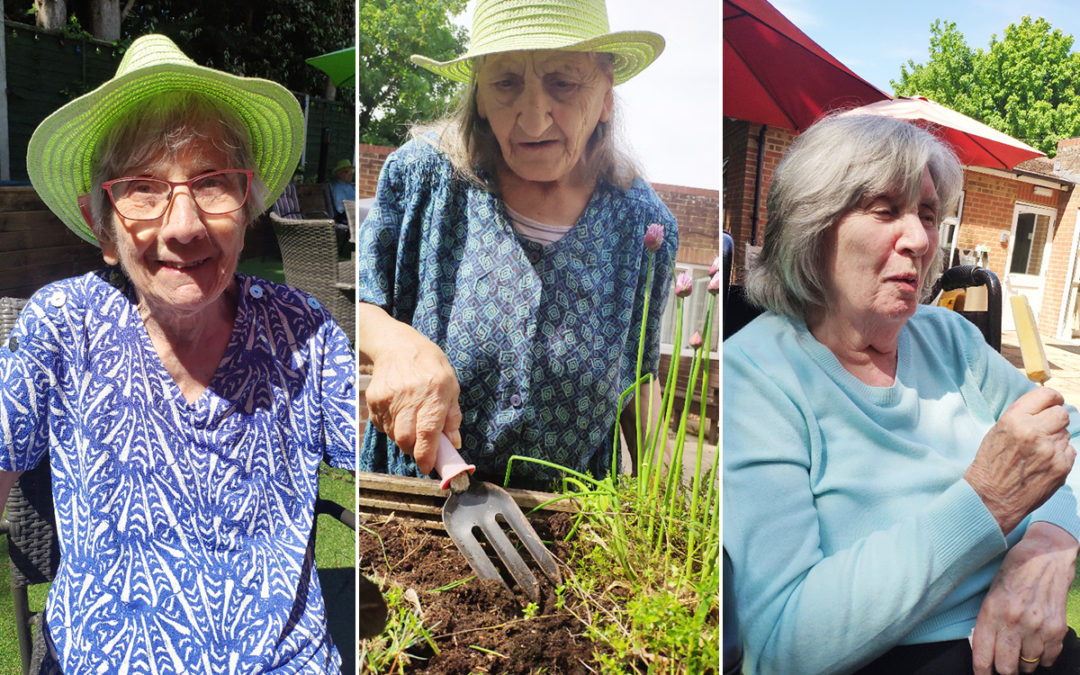 Lulworth House Residential Care Home residents enjoy their garden