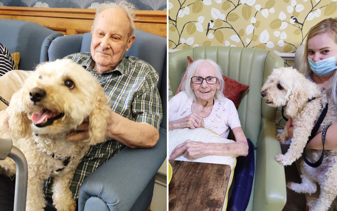 Lulworth House Residential Care Home residents enjoy Dog Therapy