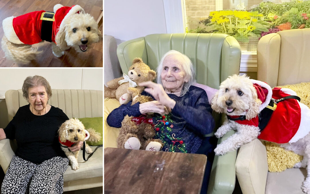 Festive Dog Therapy at Lulworth House Residential Care Home