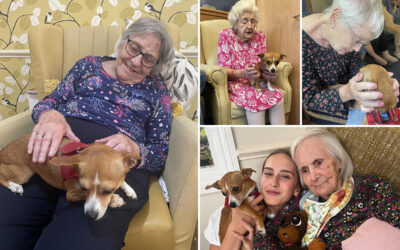 Lulworth House Residential Care Home residents enjoying cuddles with Mia