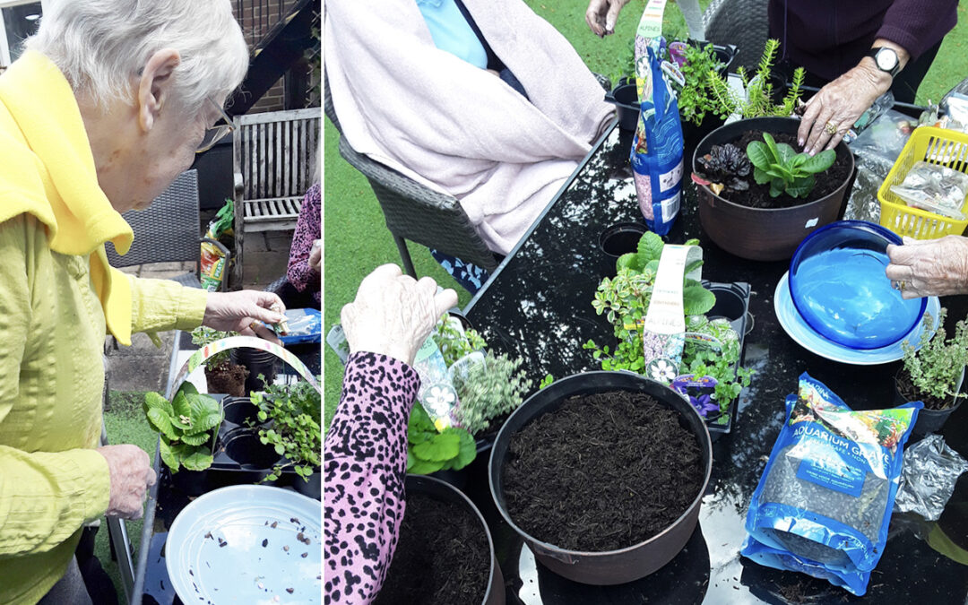 Planting fairy gardens at Lulworth House Residential Care Home