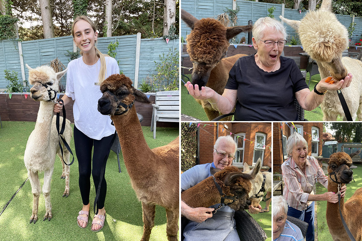 Hugo and Truffle bring smiles to Lulworth House Residential Care Home