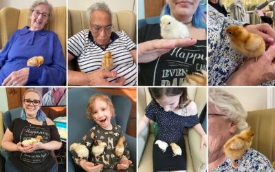 Lulworth House Residential Care Home welcomes fluffy friends