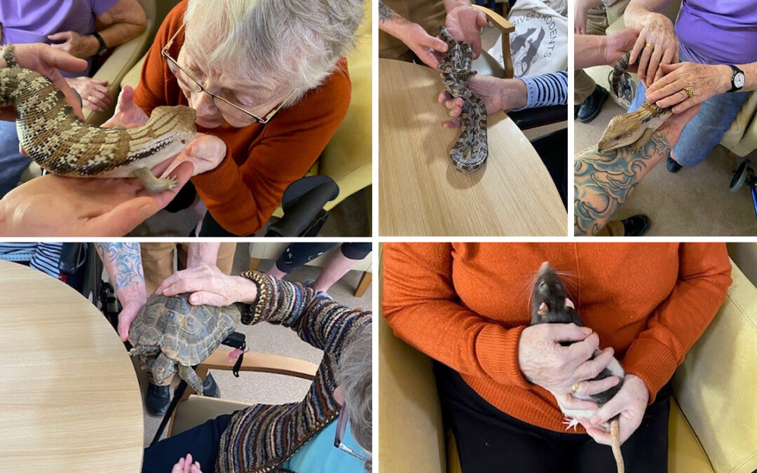 Rivers Rodents and Reptiles visit Lulworth House Residential Care Home