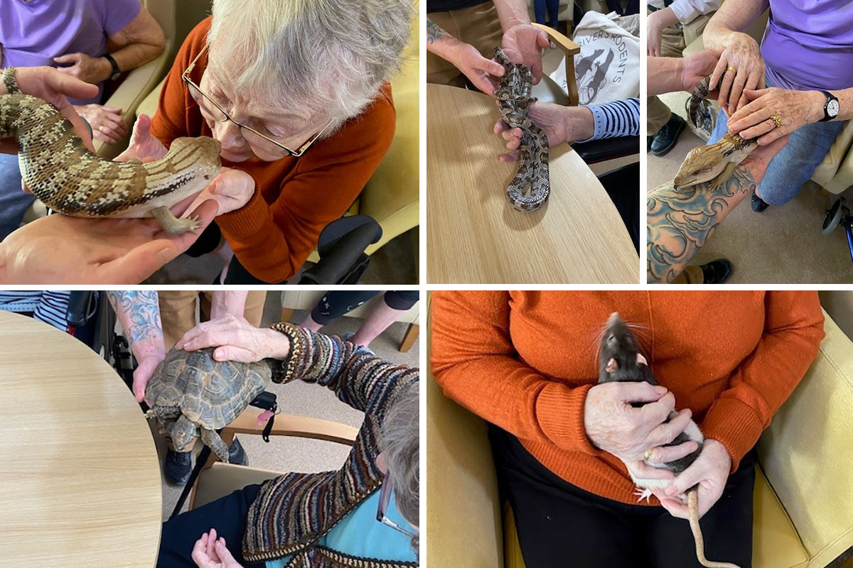 Rivers Rodents and Reptiles visit Lulworth House Residential Care Home