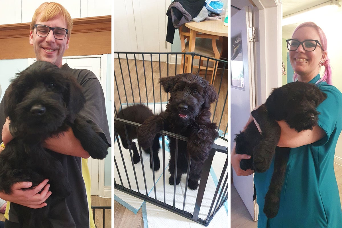 Lulworth House Residential Care Home residents enjoy puppy cuddles and making chocolate treats