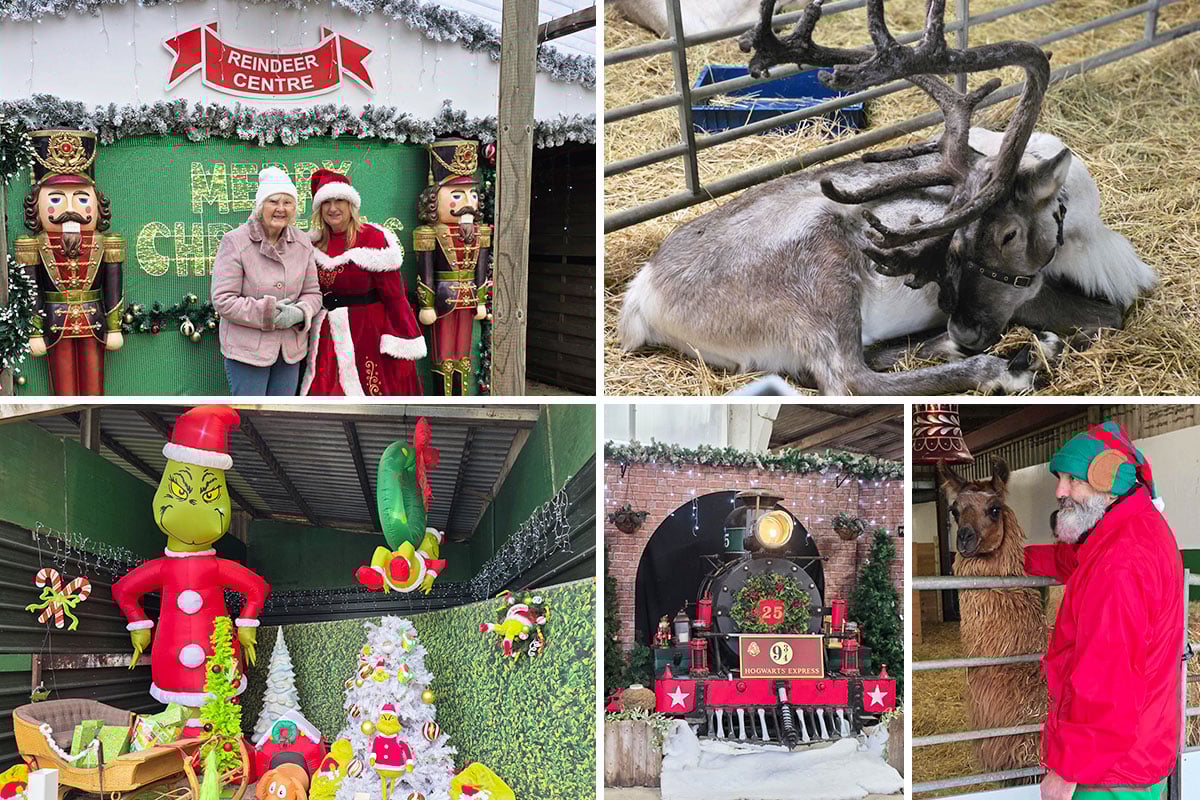 Lulworth House Residential Care Home residents enjoy festive fun at The Reindeer Centre