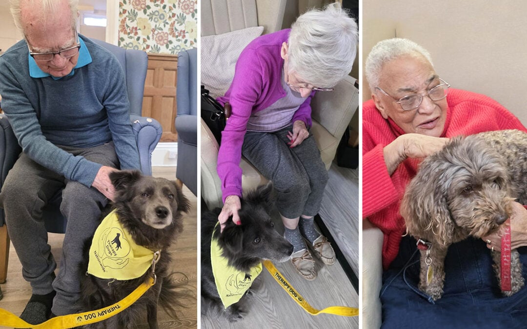 Lulworth House Residential Care Home residents share Pet Therapy and reminiscence activities
