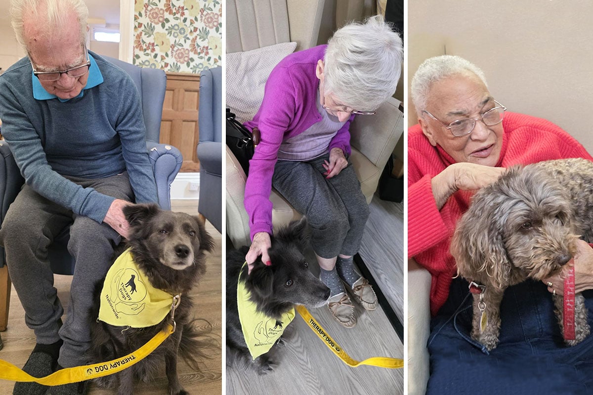 Lulworth House Residential Care Home residents share Pet Therapy and reminiscence activities